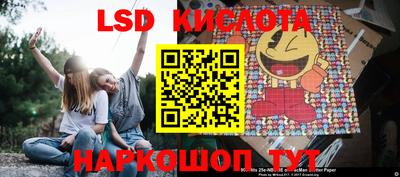 круглые Лесосибирск