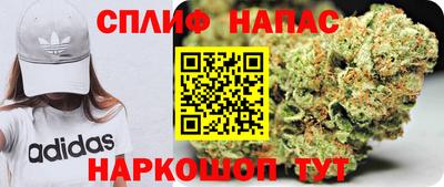 прущие грибы Ливны