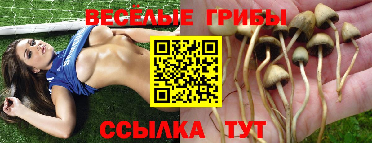 Галлюциногенные грибы мицелий Ессентуки