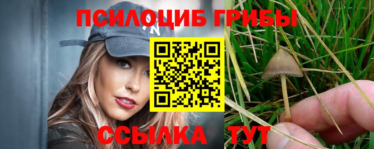 Ессентуки  Галлюциногенные грибы Magic Shrooms  Вход с VPN 